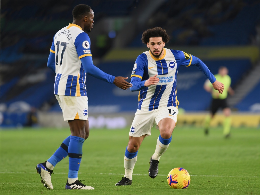 维尔贝克反思英超赛季:进球虽上双,仍觉不足,渴望更进一步 在布莱顿队内,维尔贝克并非唯一表现出色的